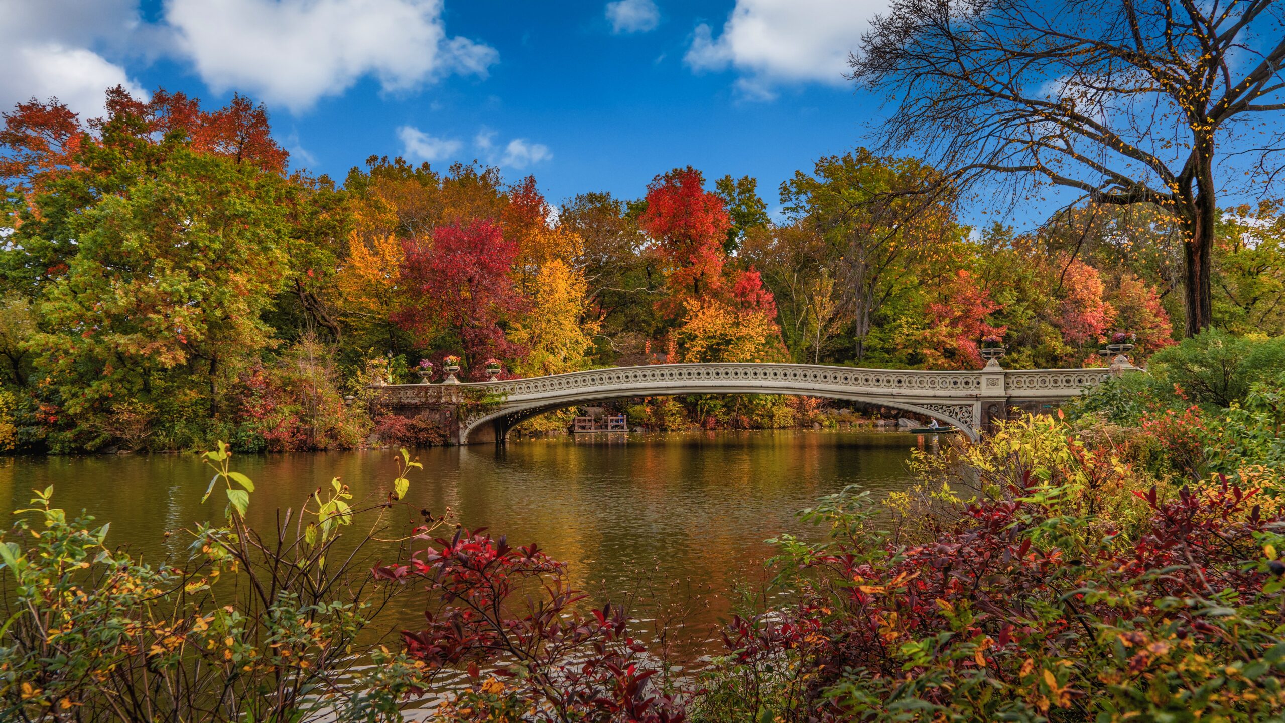 10 Best Places to Visit in New York 2023 | Blogspostt