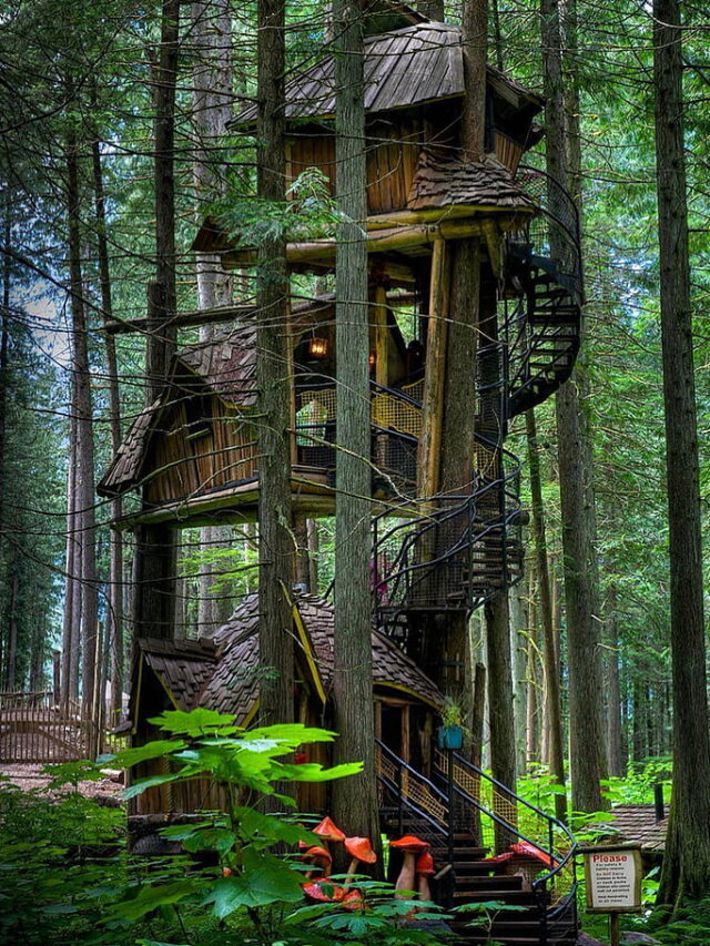 11 Best Treehouse Hotels in the World