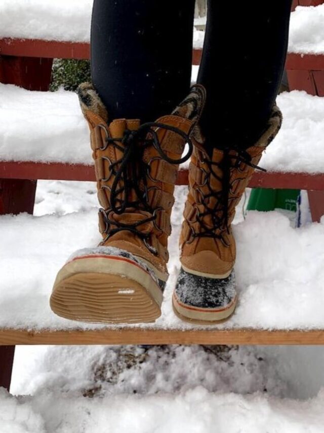 Best Winter Work Boots of 2023-2024